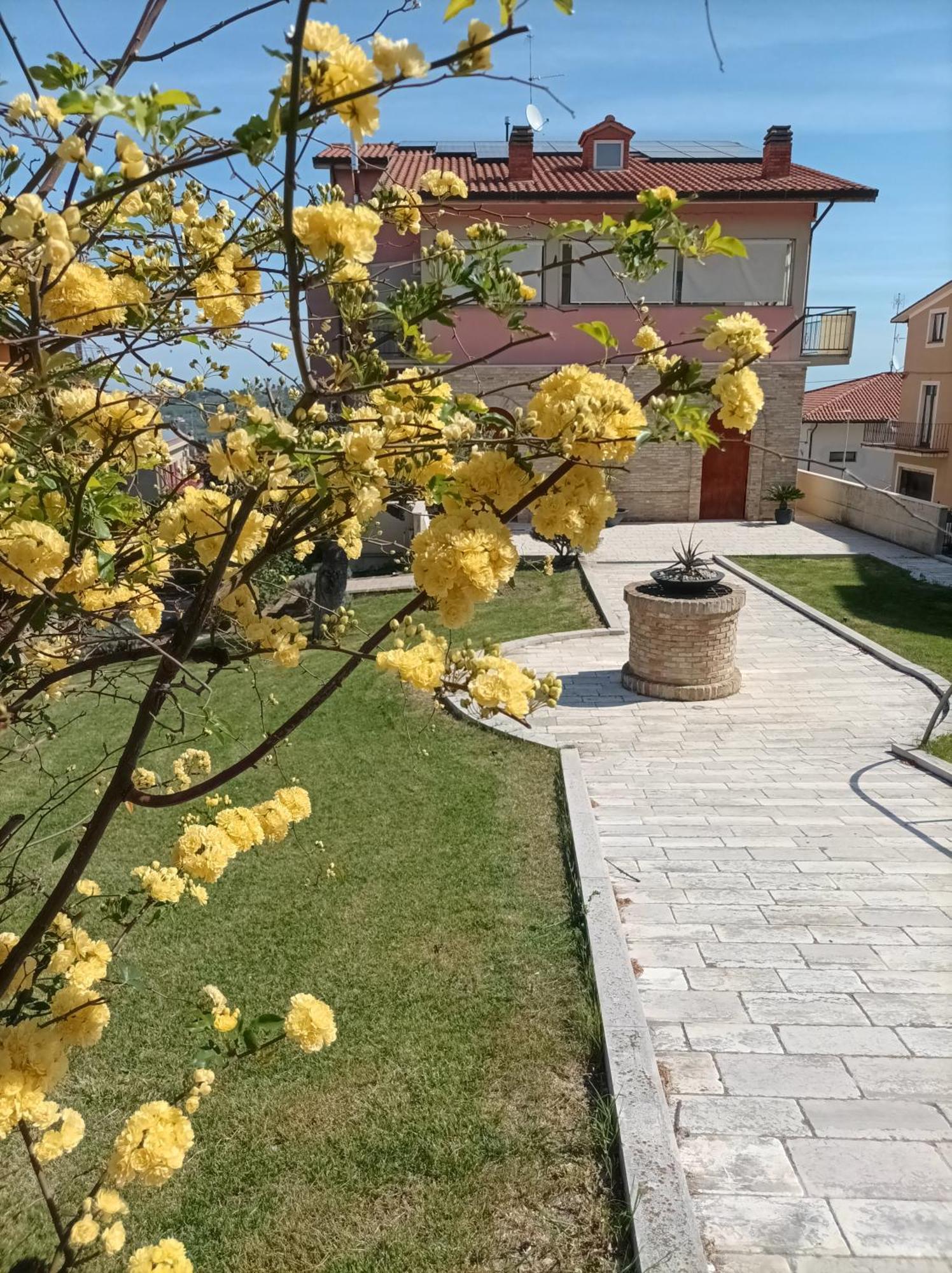 Villa Istonia Cupello Εξωτερικό φωτογραφία