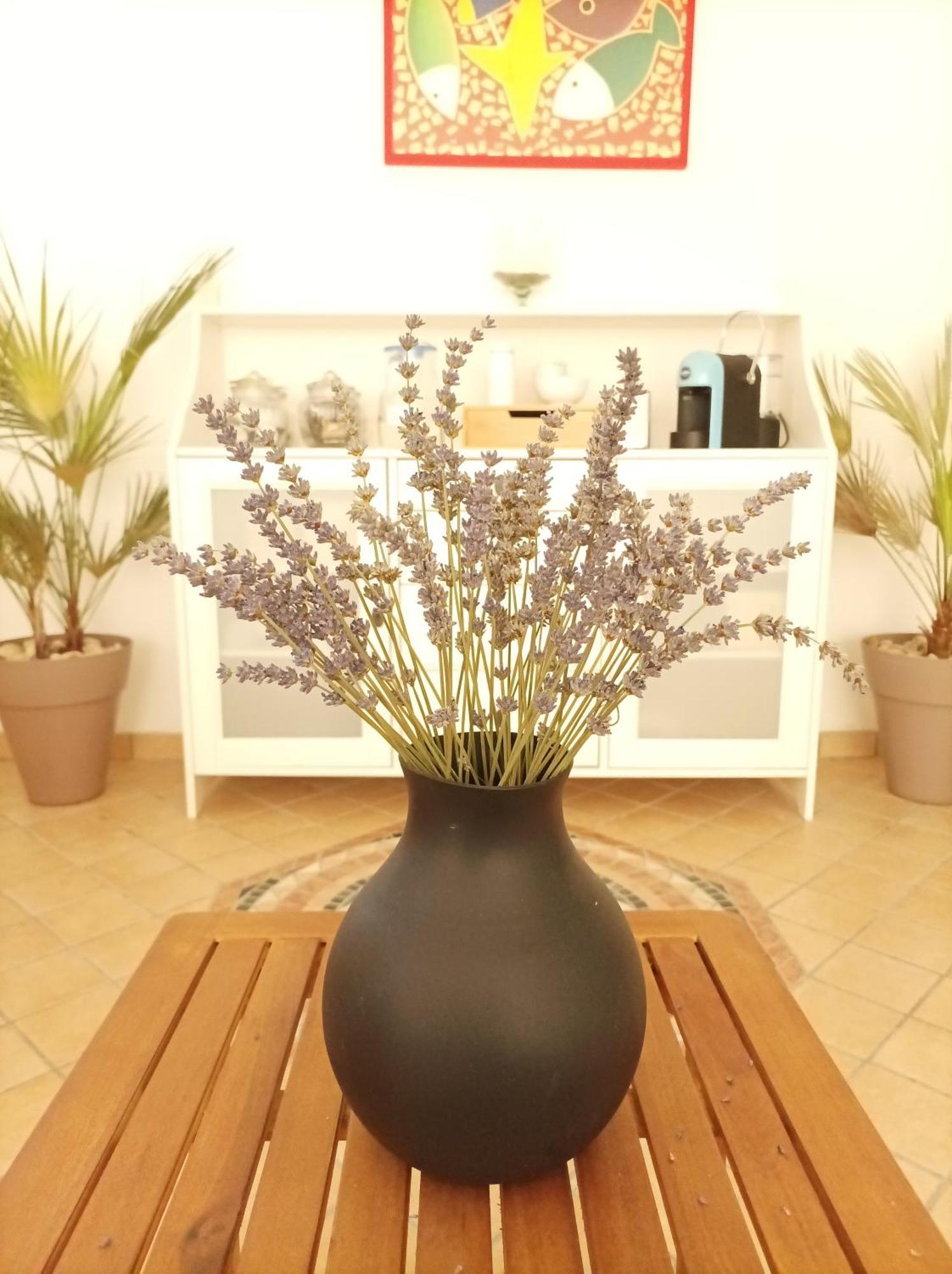 Villa Istonia Cupello Εξωτερικό φωτογραφία