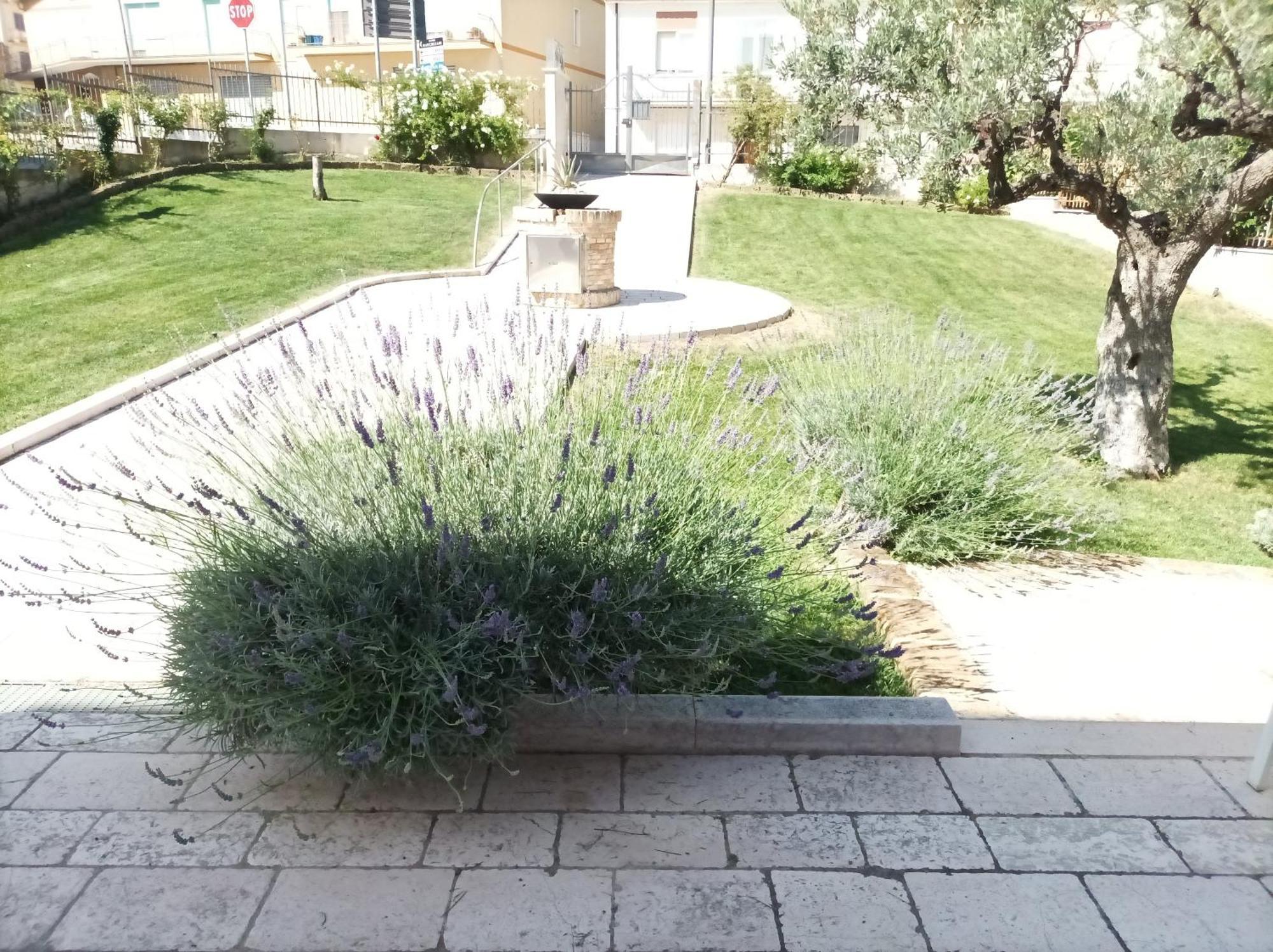 Villa Istonia Cupello Εξωτερικό φωτογραφία